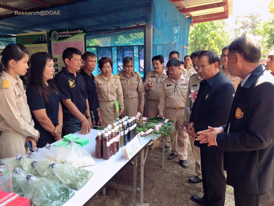 16406482_1198687983563778_5231879393827888720_n