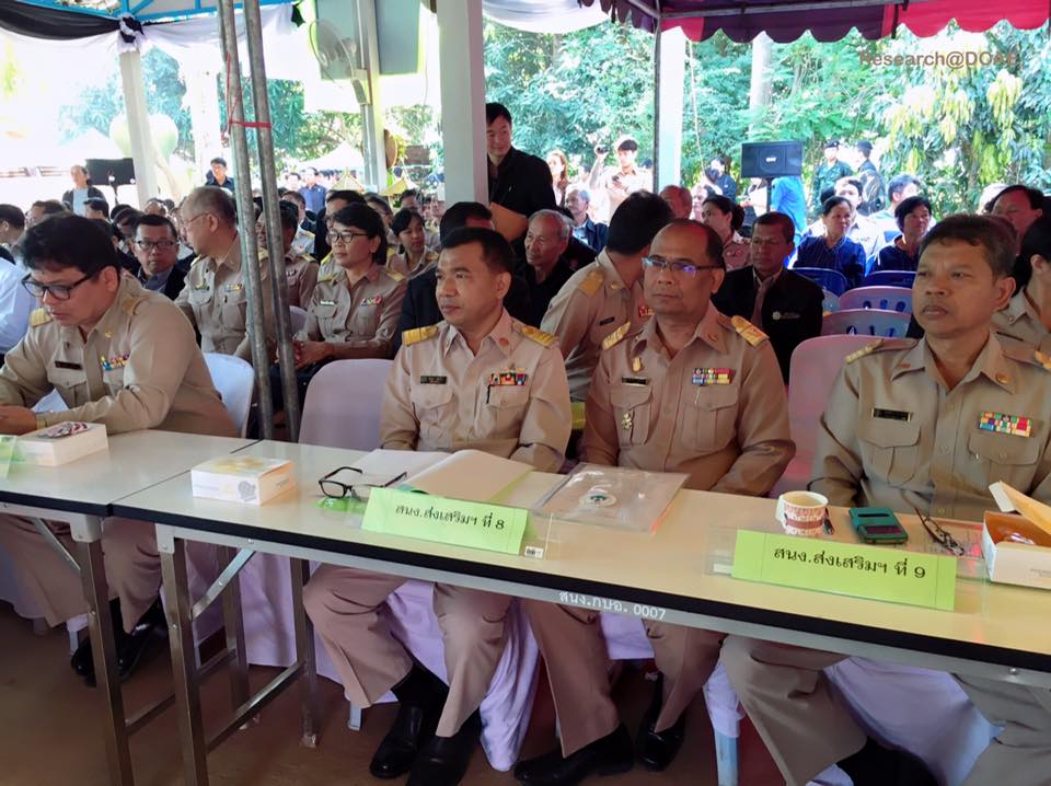 16406866_1198687266897183_7444871216926152354_n