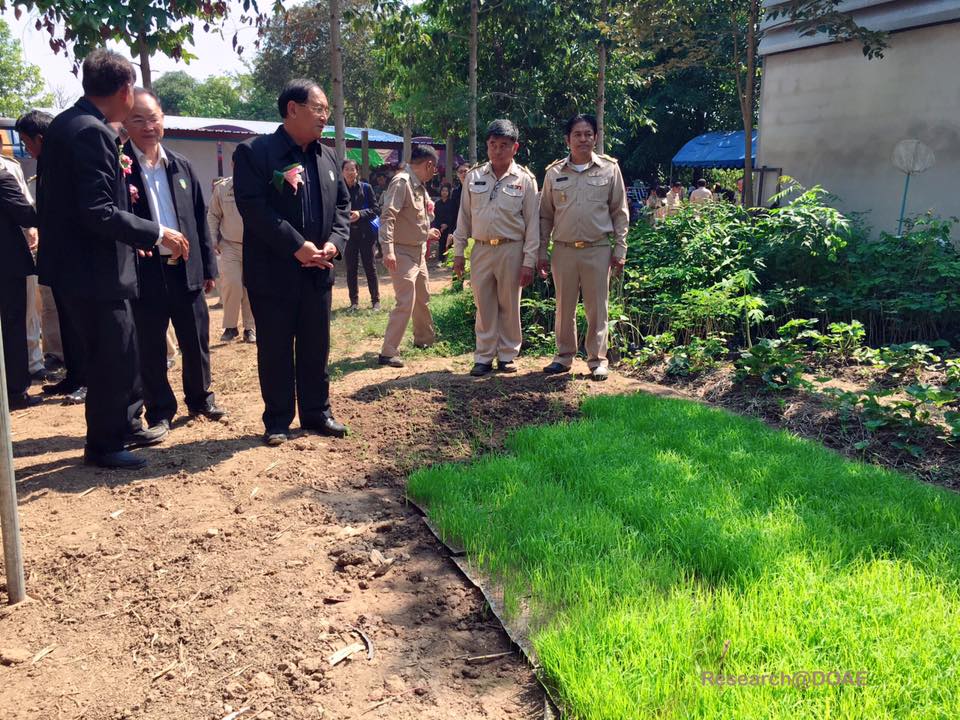 16508356_1198687786897131_6188825517243018687_n