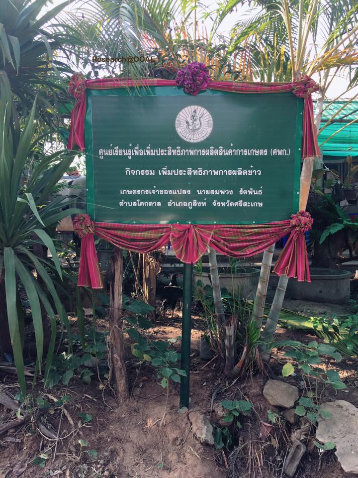 16729210_1207690975996812_6821496875987287864_n