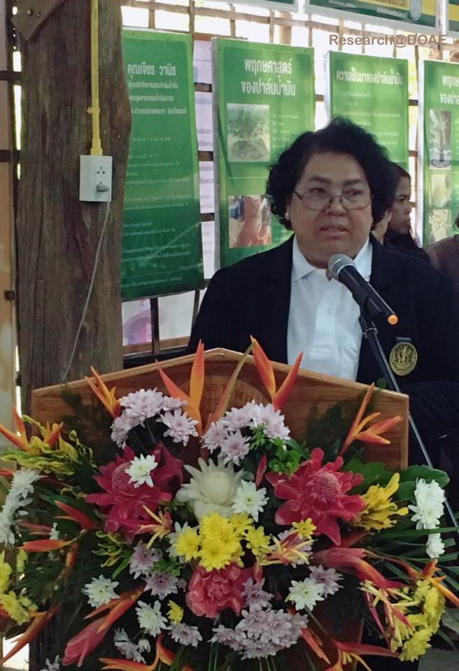 17264551_1239661419466434_8495493929802388166_n