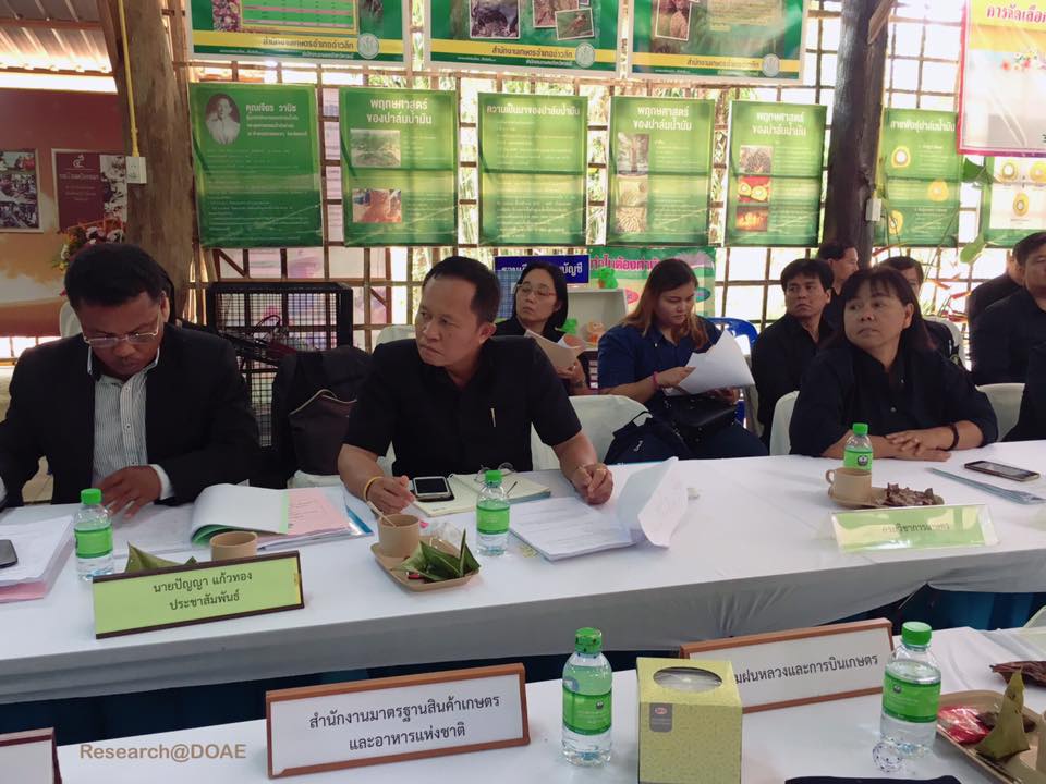 17342776_1239689299463646_502450365461138651_n