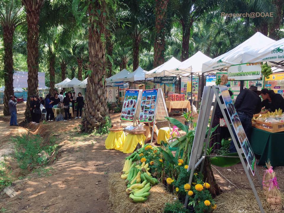 17361782_1239661809466395_8904321581859420733_n