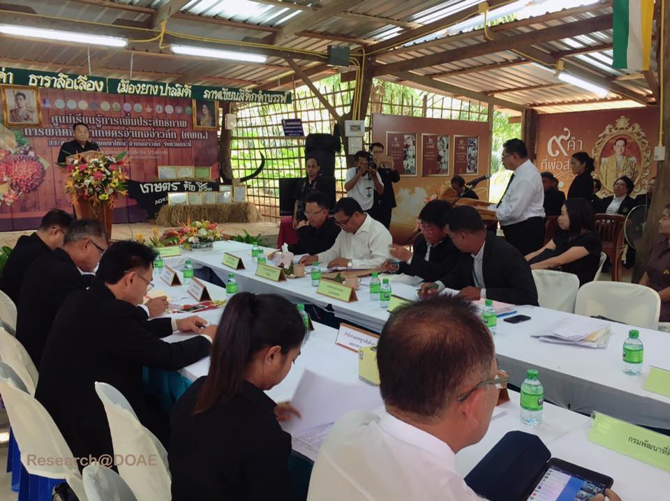 17362520_1239661469466429_3825786436292880589_n