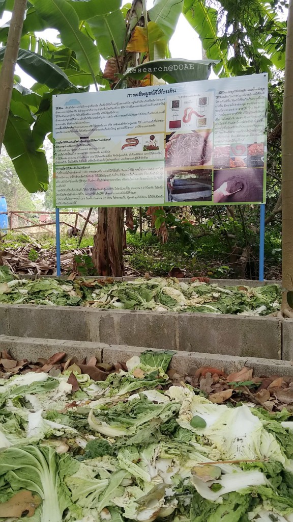 18-03-28-18-01-40-405_deco