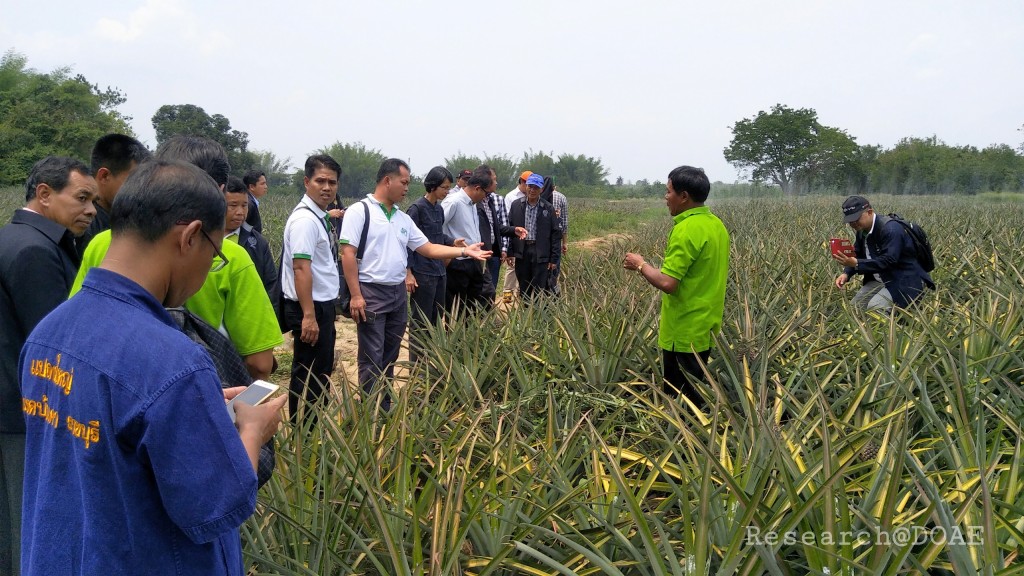 18-03-29-12-44-10-779_deco