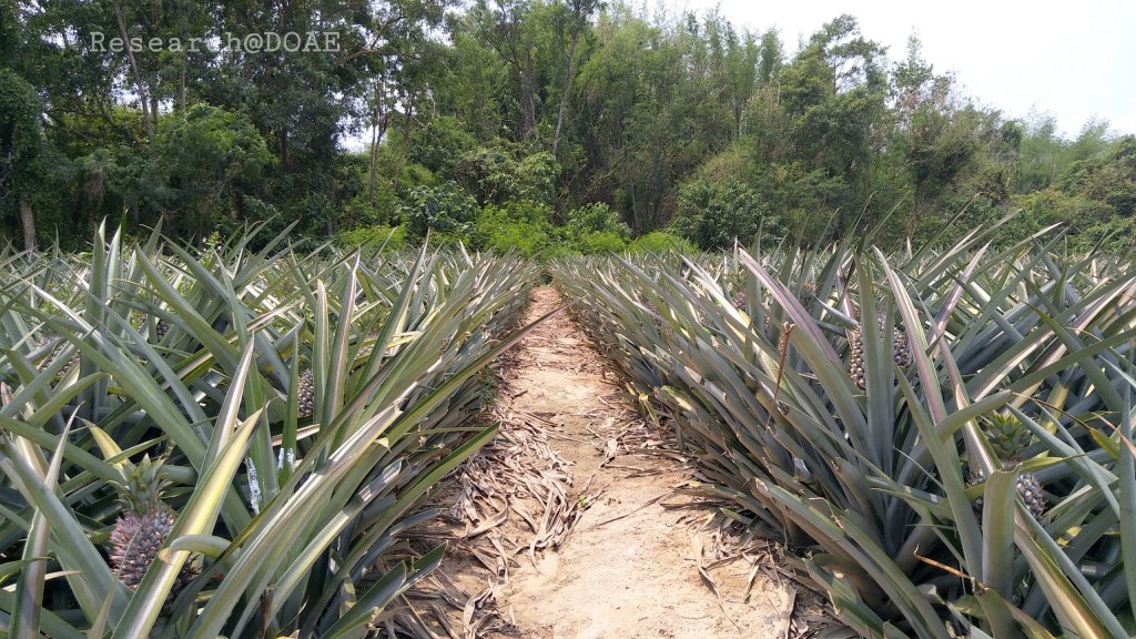 18-03-29-13-08-49-636_deco