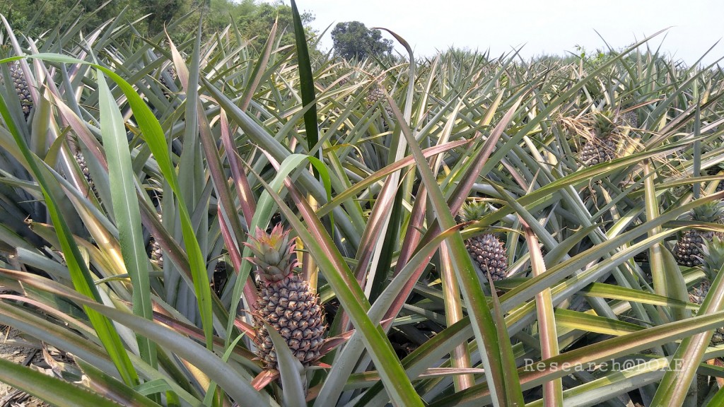 18-03-29-13-09-31-372_deco