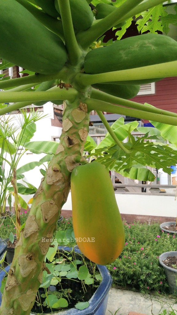 18-03-29-19-58-14-329_deco