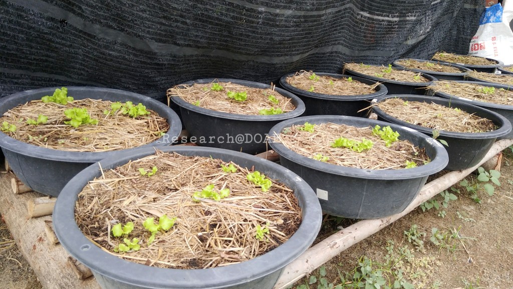 18-03-29-19-59-06-046_deco