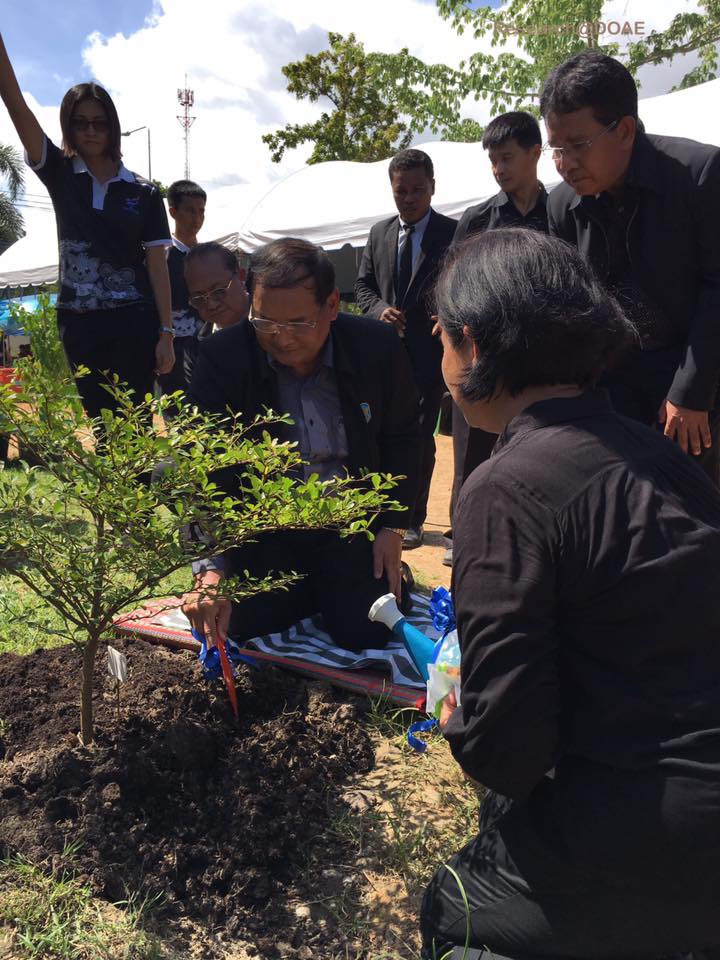 18813266_1317511031681472_8581504412947260400_n