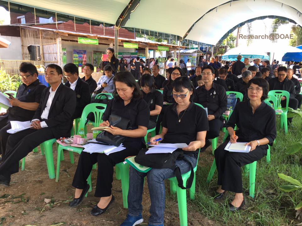 18813962_1317528521679723_8762572799555618993_n