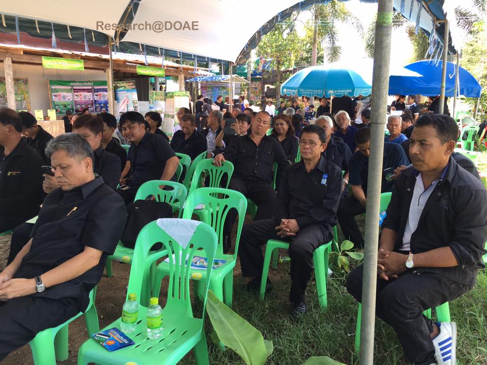 18881727_1317511888348053_1255453345988016345_n