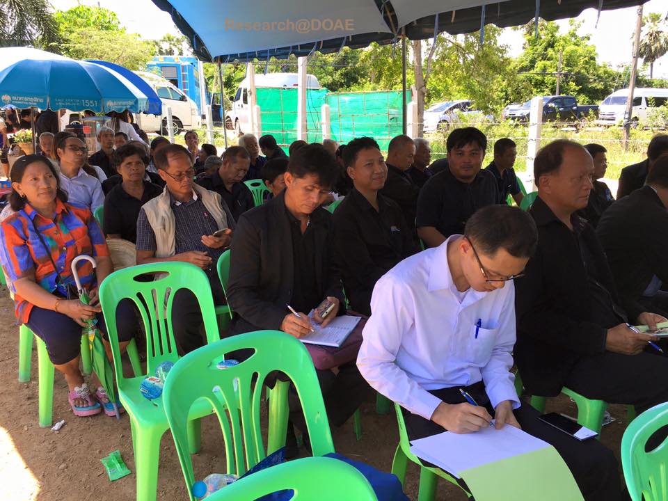 18882069_1317510048348237_5302160078425391680_n