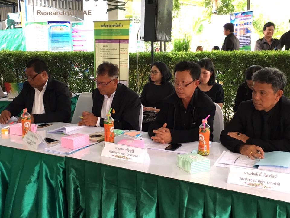 19511477_1348514381914470_7326486636126354730_n