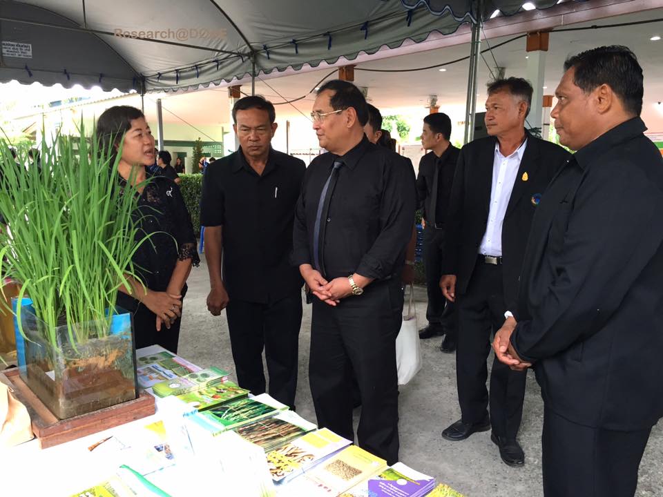 19554115_1348497538582821_3679301967605366409_n