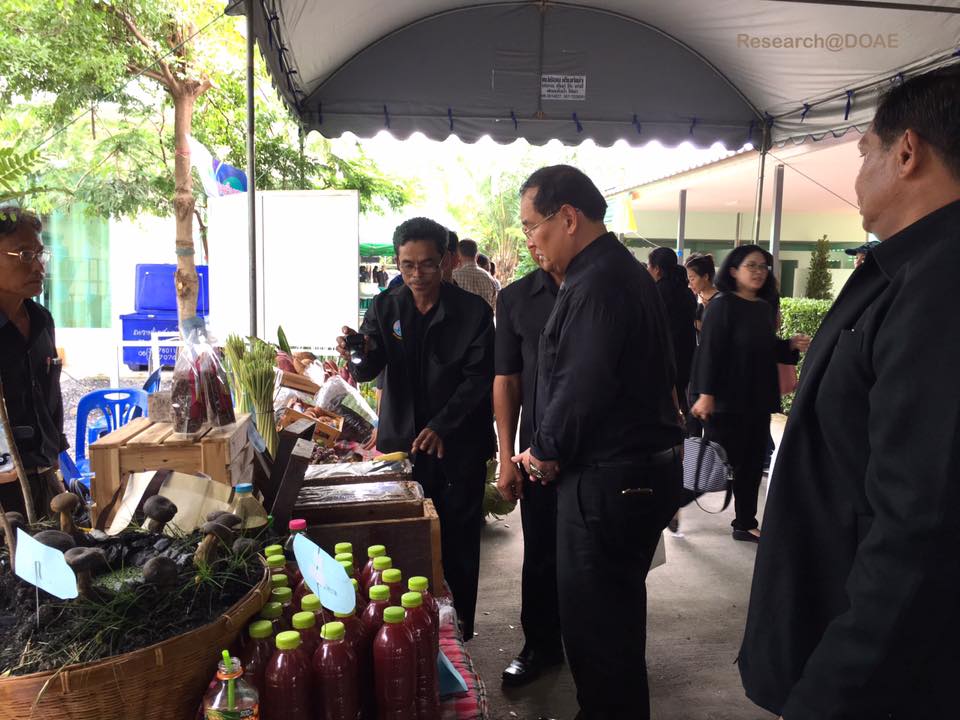 19554323_1348497525249489_4432050825853362582_n