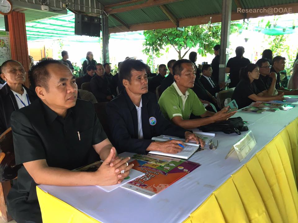 20228442_1372077869558121_6413262811090787984_n