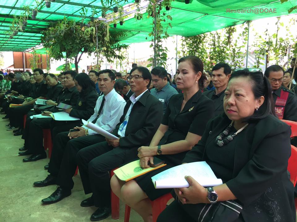 20228924_1372077872891454_6726976820720012617_n