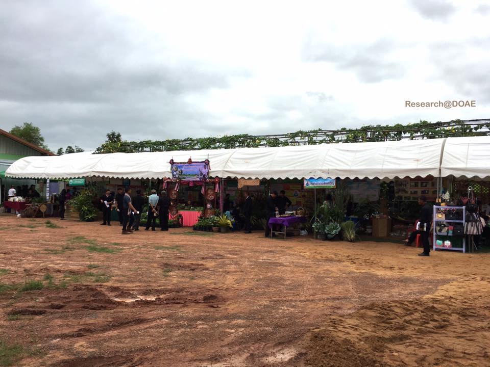 20245842_1372078599558048_3583458024005411977_n