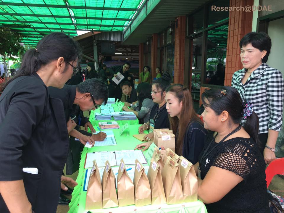 20246122_1372078286224746_1874001913984267222_n