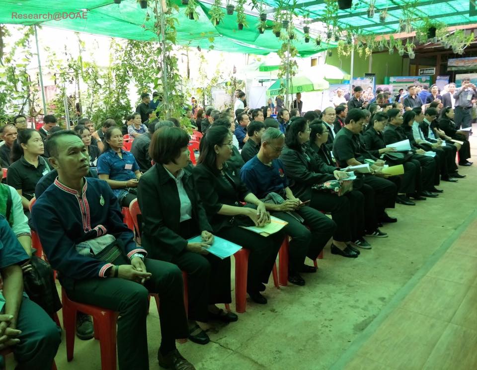 20292676_1372078046224770_7629998994713151572_n