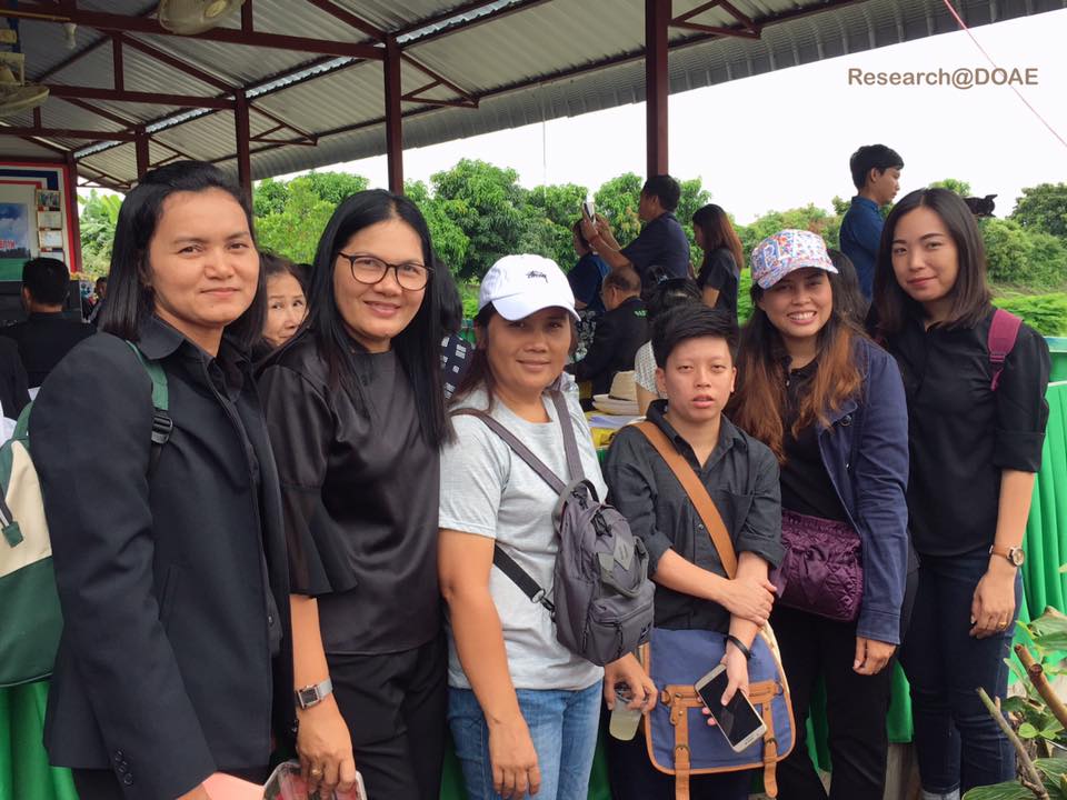 21151744_1412538585512049_8335521802692094538_n