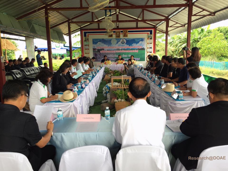 21192007_1412537922178782_6490076979851365937_n