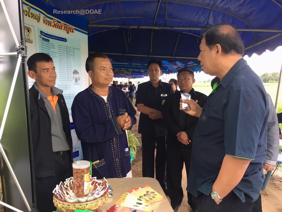 21230767_1412538815512026_6456020205174816010_n