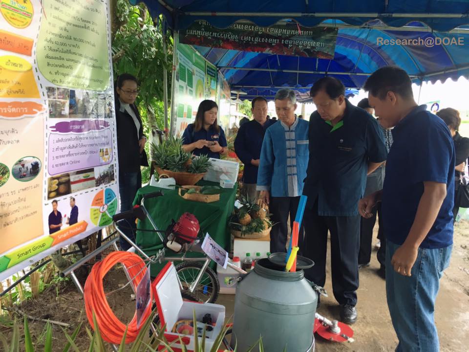 21271209_1412538882178686_267016553418678023_n