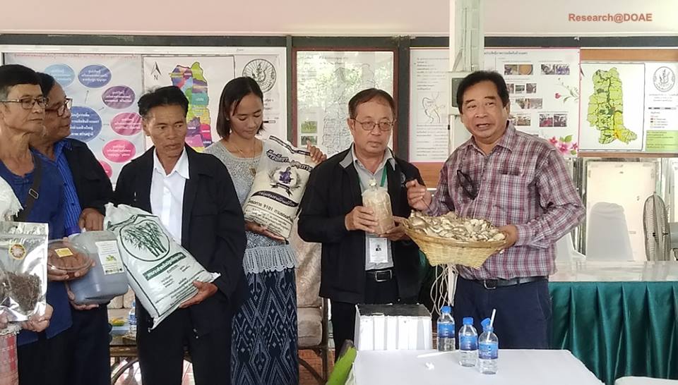 23376167_1472144762884764_8574111557471480054_n