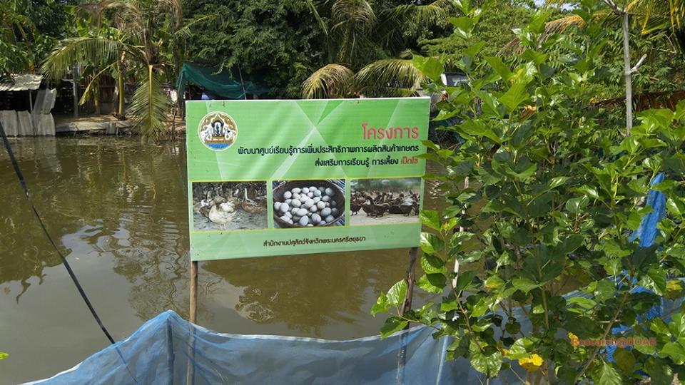 23376625_1472144729551434_2314835342358301948_n