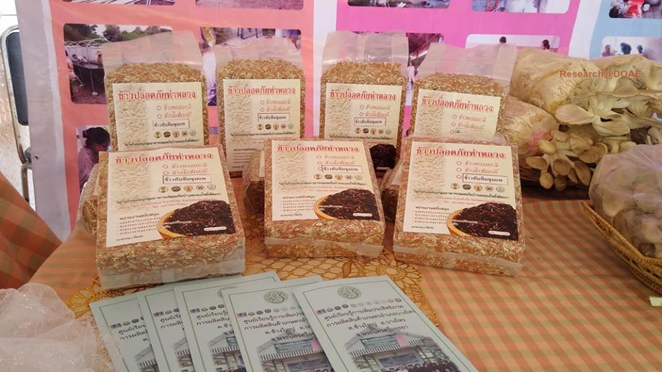 23380368_1472144329551474_2062778018785445525_n