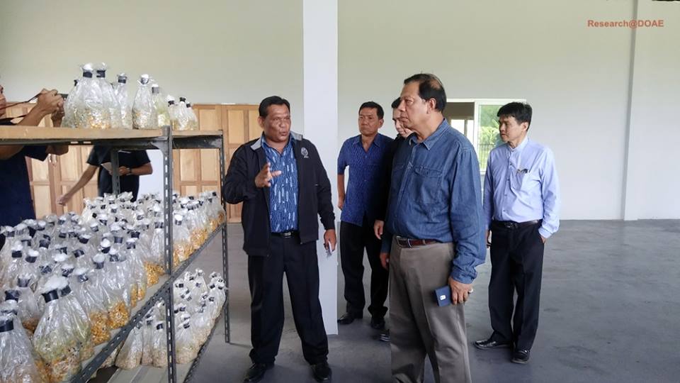 23434752_1472144842884756_1086060292762591703_n