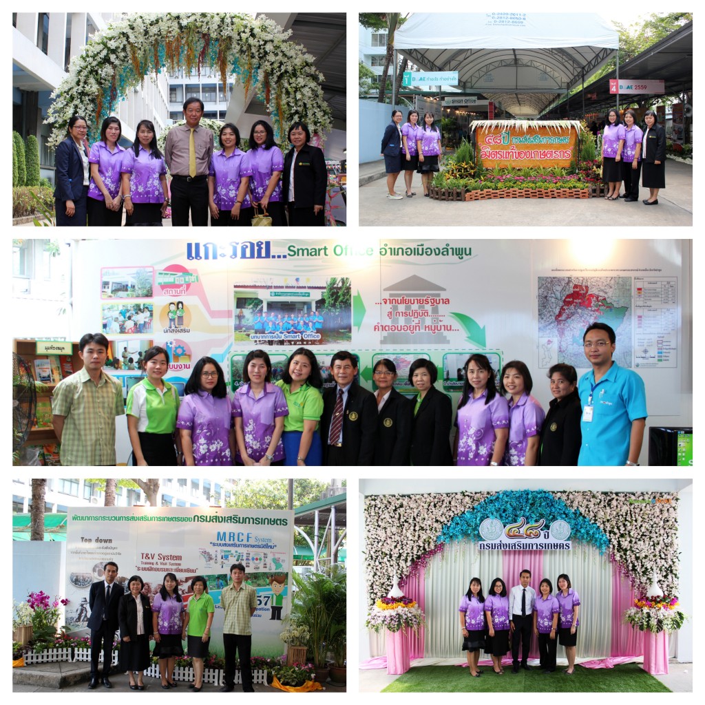 IMG_3044__Fotor_Collage