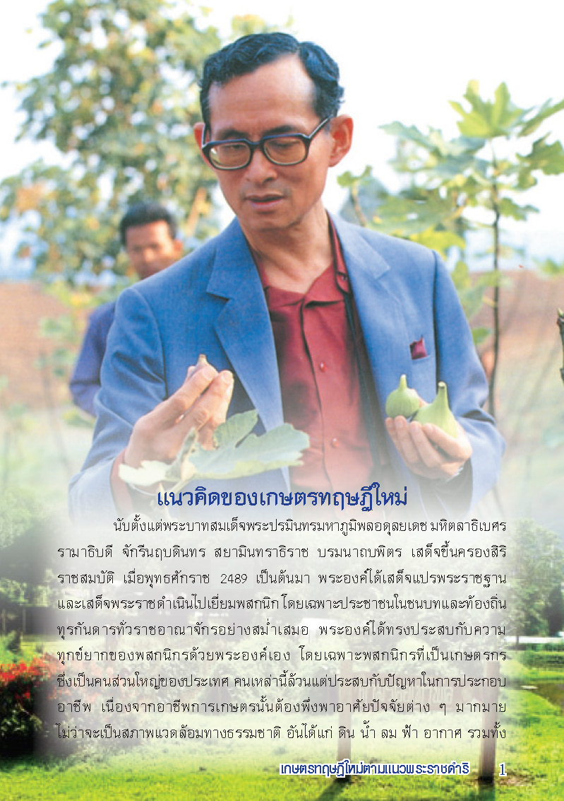 แนวคิดของเกษตรทฤษฎีใหม่